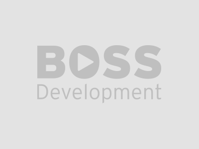 Boss Development